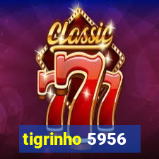 tigrinho 5956