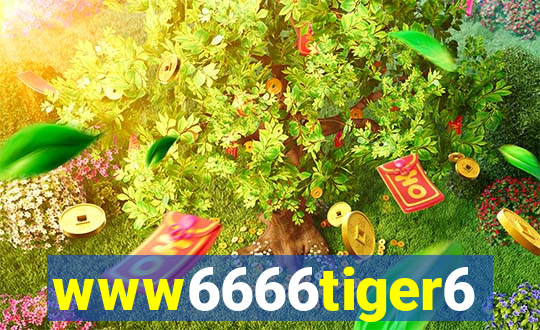 www6666tiger6