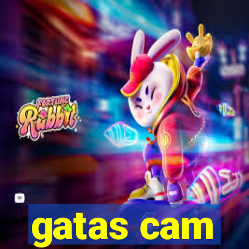 gatas cam