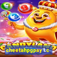 cheetahpgpay1.com