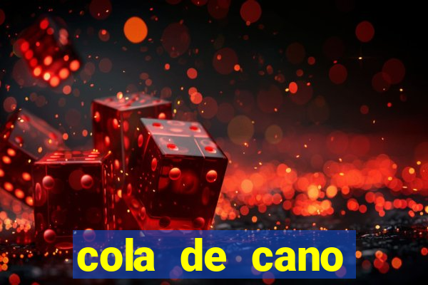 cola de cano quanto tempo para secar