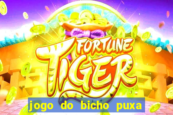 jogo do bicho puxa de dona maria