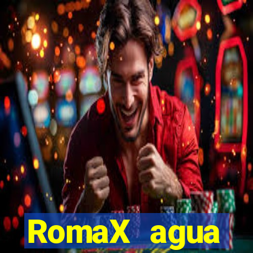 RomaX agua sanitaria fispq agua sanitaria romax