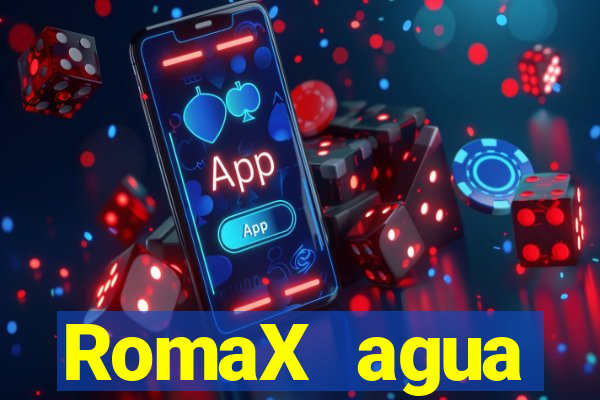 RomaX agua sanitaria fispq agua sanitaria romax