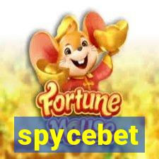 spycebet