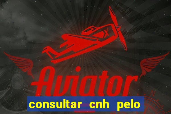 consultar cnh pelo cpf sp