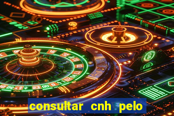 consultar cnh pelo cpf sp