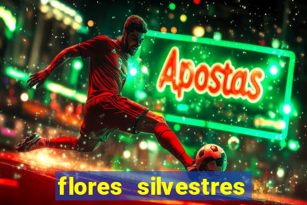 flores silvestres desbravadores desbravadores 25 flores silvestres e seus nomes