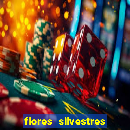 flores silvestres desbravadores desbravadores 25 flores silvestres e seus nomes