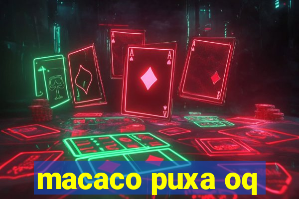 macaco puxa oq