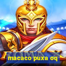 macaco puxa oq