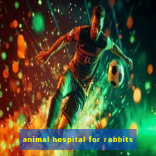 animal hospital for rabbits