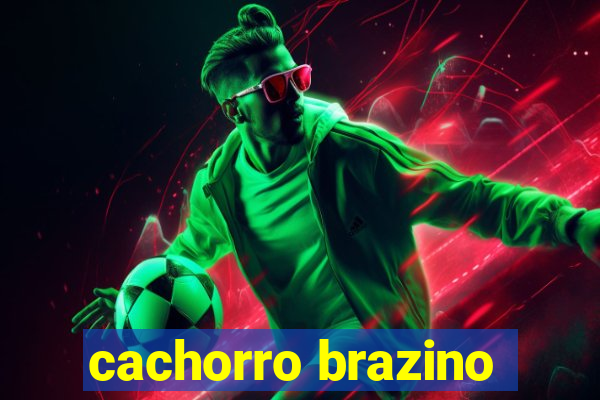 cachorro brazino