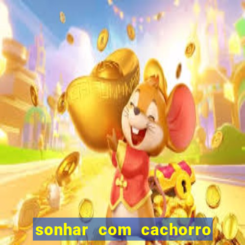 sonhar com cachorro sem cabeca