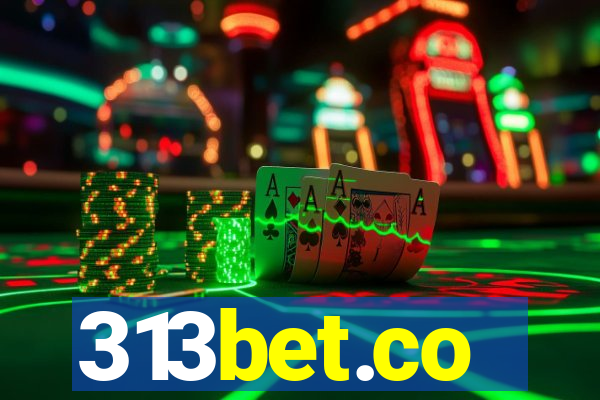 313bet.co