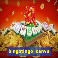 bingotingo canva pro gratis