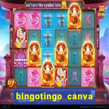 bingotingo canva pro gratis