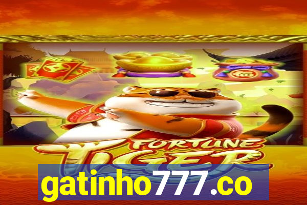 gatinho777.co