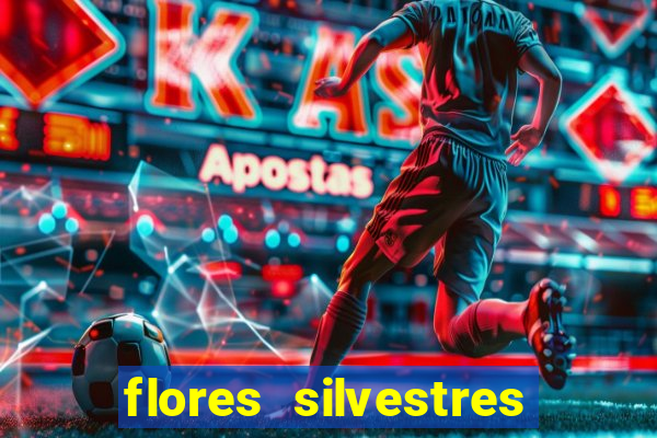 flores silvestres desbravadores desbravadores 25