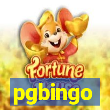 pgbingo