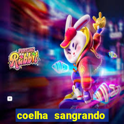 coelha sangrando pela parte intima