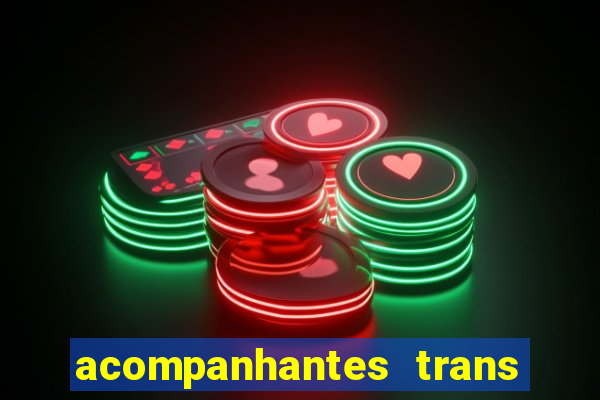 acompanhantes trans baixada fluminense