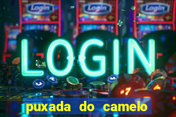 puxada do camelo no jogo do bicho