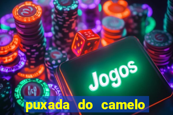 puxada do camelo no jogo do bicho