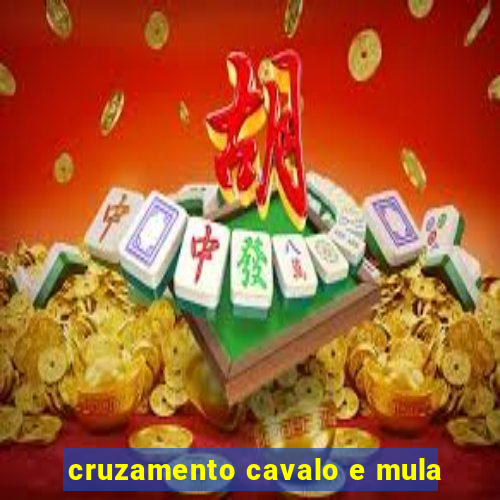 cruzamento cavalo e mula