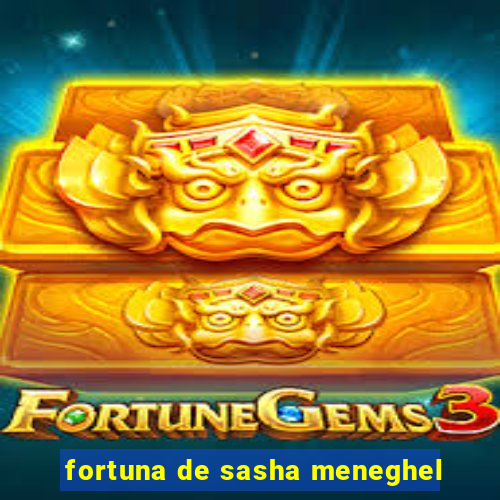 fortuna de sasha meneghel