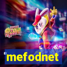 mefodnet