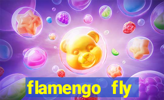 flamengo fly emirates ultimas noticias