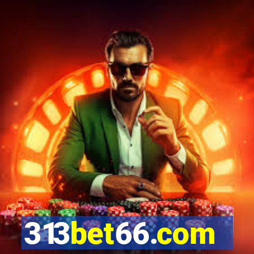 313bet66.com