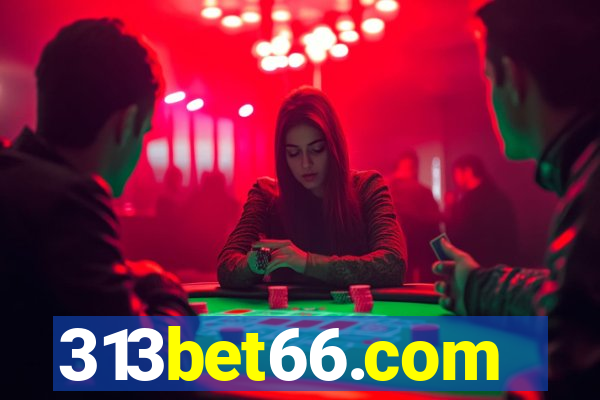 313bet66.com