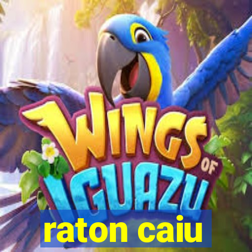 raton caiu