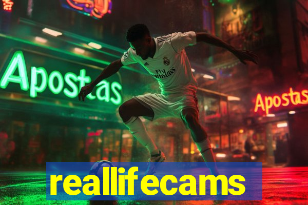 reallifecams