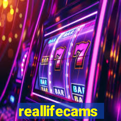 reallifecams