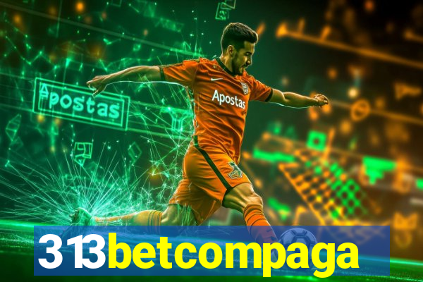 313betcompaga