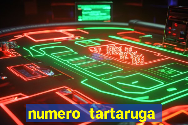 numero tartaruga jogo do bicho