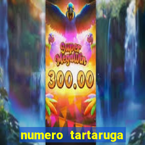 numero tartaruga jogo do bicho