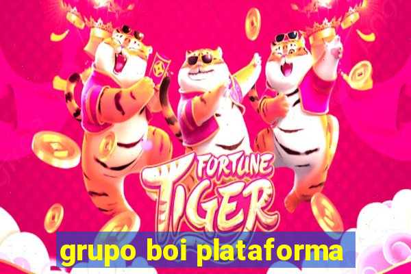 grupo boi plataforma