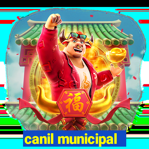 canil municipal