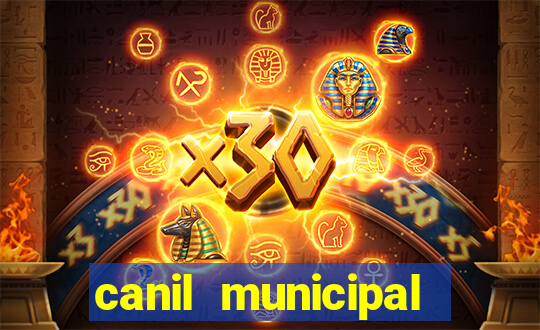 canil municipal porto alegre