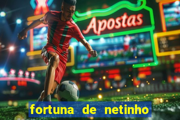 fortuna de netinho de paula