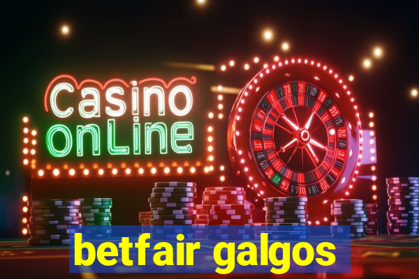 betfair galgos