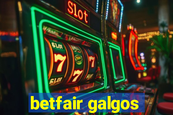 betfair galgos