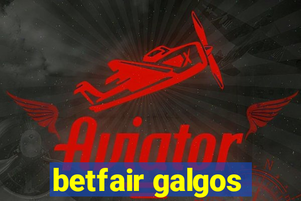 betfair galgos