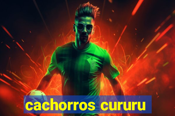 cachorros cururu