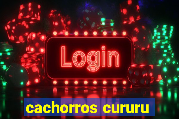 cachorros cururu