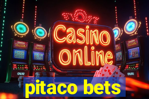 pitaco bets